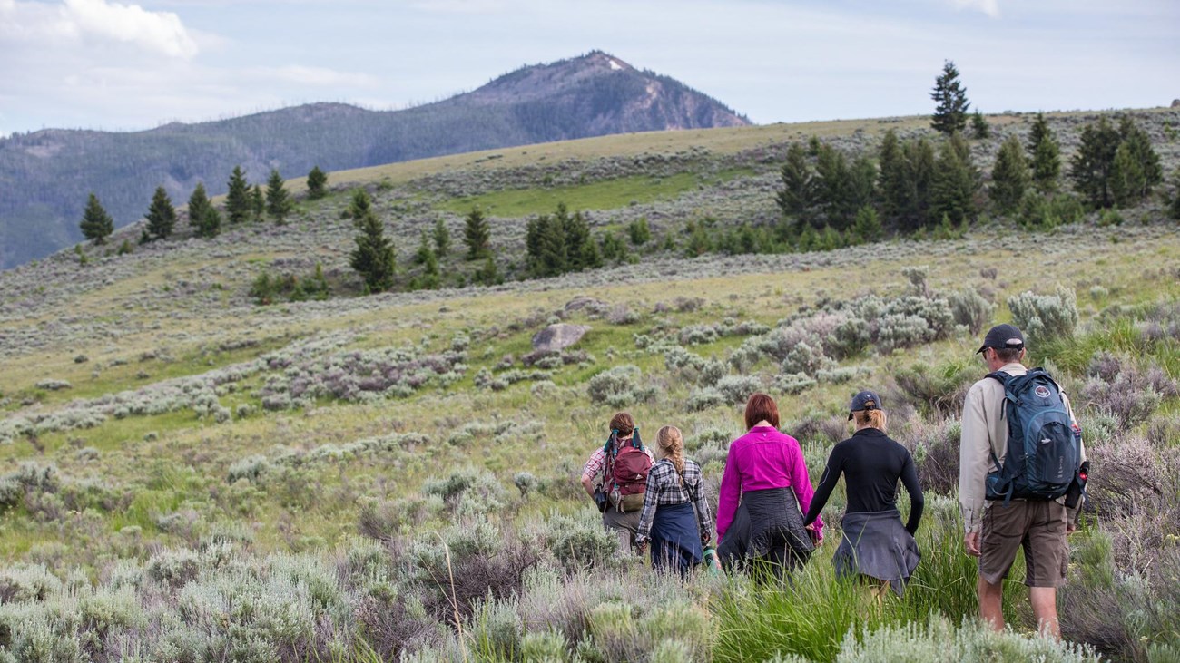Five hikers walk through sagebrush and grass on Beaver Ponds Trail with a rounded mountain beyond.