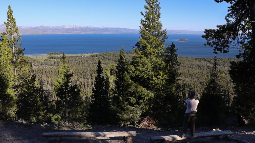 A hiker looks across evergreen forest to Yellowstone Lake and distant mountains from Elephant Back Mountain.