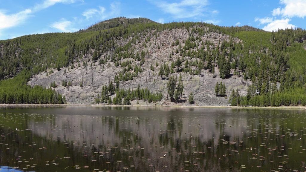 Lily pads cover part of Harlequin Lake below a forested slope.